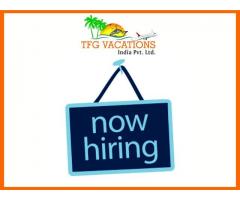  Online Tour Operator For Tourism Company-Hiring Now
