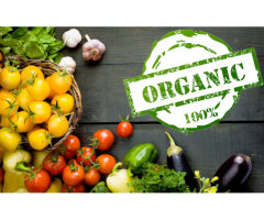 Online grocery store for your organic food products | Ecochoice