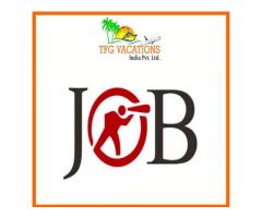 We Provide 100% a Job Opportunity 