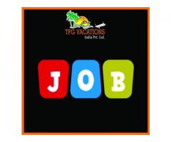 Internet Marketing Jobs for Fresher/Working in Tourism Company