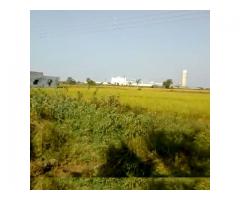 3.16 acre land for sale in Kota More, Panagarh, Bardhaman,W.B.