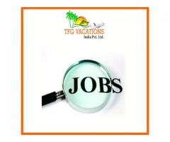 Job Vacancy For Freshers In Internet Advertising