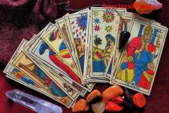 Tarot Card Reader in Noida