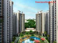 Choose your perfect home in Ace Divino Noida Extension 9266850850