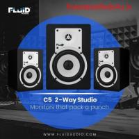 Fluid Audio C5 2- Way Studio Speaker