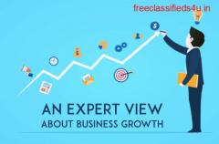 An Expert Views About Business Growth