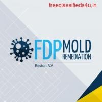 FDP Mold Remediation