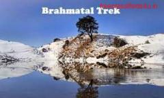 Brahmatal Trek is useful for beginner 