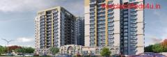Royal Court: Ready to move flats in Noida Extension