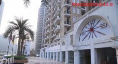 Royal Court: Ready to move flats in Noida Extension