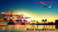 Gain the rice import data for best business 