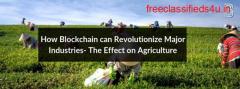 How Blockchain can Revolutionize Major Industries- The Effect on Agriculture