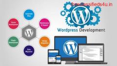Wordpress Project Development Company Indore | Neha SEO Solutions