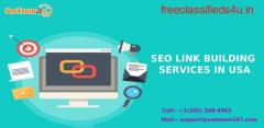 SEO LINK BUILDING SERVICES COMPANY IN USA