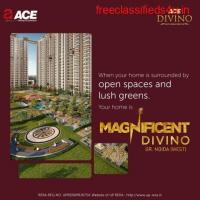 Flats in Noida Extension - ACE Group