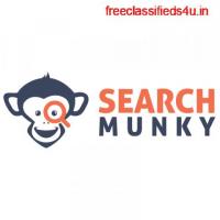 Best SEO Audit Tool For Detailed SEO Analysis- Search Munky