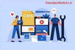 CMS Website Hosting Services in India [Easy Configuration]