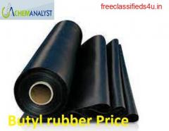 Butyl Rubber Price Trend and Forecast