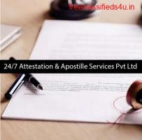 Top certificate attestation services in Karnataka-Theattestation