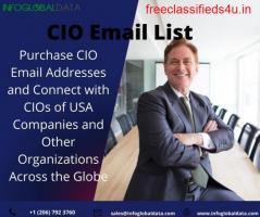 Get the best CIO Email List In US