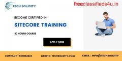 The Best Siteccore Training in Techsolidity