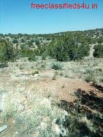 2 ACRES WITH ELECTRIC ON LOT IN BRIDGE CANYON ESTATES IN SELIGMAN, YAVAPAI COUNTY! APN: 301-46-060