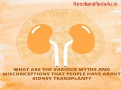 What are some of the most common myths and misconceptions about kidney transplantation?