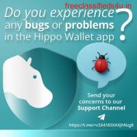 Hippo Wallet: Support Channel