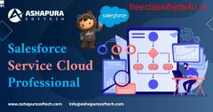 Salesforce service cloud professional