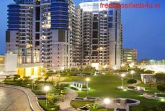 DLF Pinnacle Apartment for Sale in Sector 43 Gurgaon 