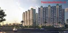 Are you in need of apartments with world-class amenities in Noida? 