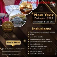 Chail New Year Package 2023 | Tarika Resort Chail New Year Packages