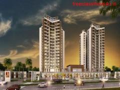 Why is the demand for apartments for sale in Noida increasing? 