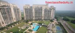 Apartment in DLF Aralias Gurgaon 