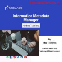 Informatica Metadata Manager Training - IDESTRAININGS