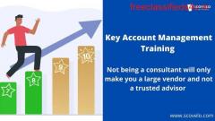 Best Key Account Management Training | ScoVelo Consulting