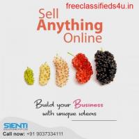 Best Digital Marketing Company In Kochi | Sienti Solutions Pvt.Ltd