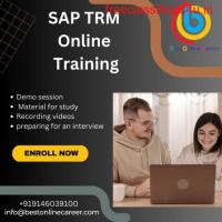 Learn SAP TRM Online with the Best Online Career Training Program.