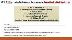 Jobs for Business Development Executive 2+ Yrs Exp - Zytal Hiring!