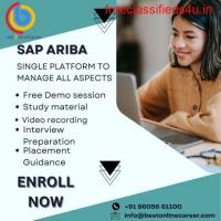 Learn SAP Ariba online at The Best Online Career