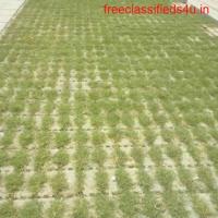 Designer grass pavers at the best price!!