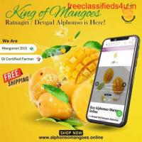 Buy Hapus Mangoes Online | Authentic Ratnagiri and Devgad Alphonso Mango Pulp