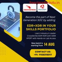 CrowdStrike EDR and XDR Training in India   