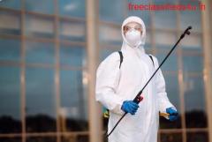 Pest Control Services in Pune - Call 07795001555
