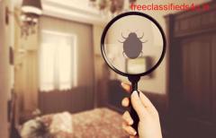 Bed Bug Pest Control Services in Pune - Call 07795001555