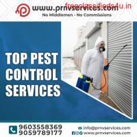Top pest control services in indra reddy allwyn ncolony|  miyapur