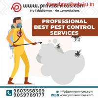 Best pest control services near narayanguda | madhapur 