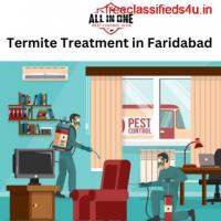 Termite Treatment in Faridabad