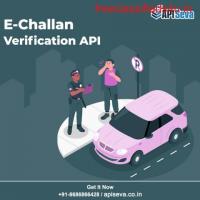 API Seva Provide Online E- Challan Fetch API Service
