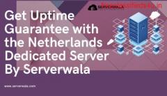 Get Uptime Guarantee with the Netherlands Dedicated Server By Serverwala 